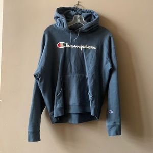 navy blue champion hoodie